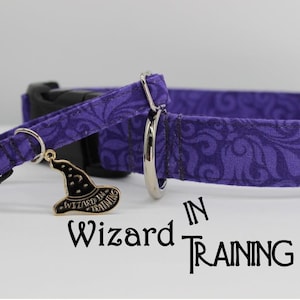 May include: Purple dog collar with a black buckle and a silver D-ring. The collar has a small gold charm attached to it that says "Wizard in Training" and depicts a witch's hat.