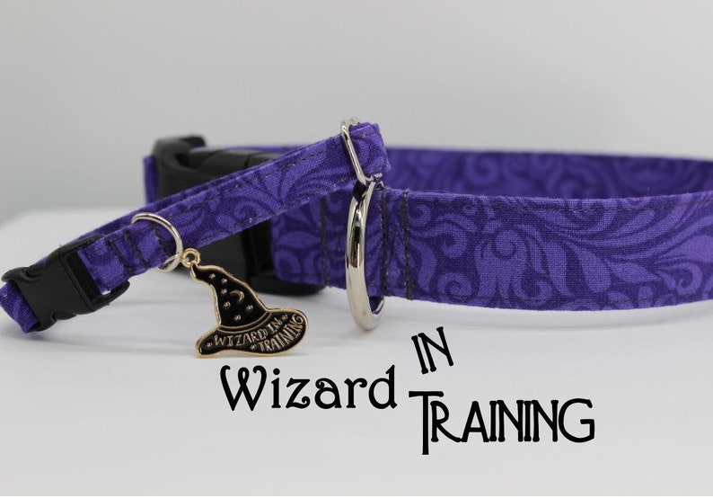 Cat collar in purple  swirls wiith  
 black wizard hat charm withwizard in training written on front of charm