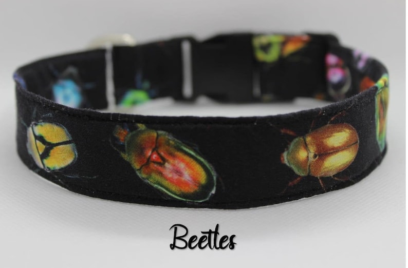 Puede incluir: Collar de perro negro con estampado de escarabajos coloridos. El collar tiene una hebilla negra y est&aacute; etiquetado como "Beetles".