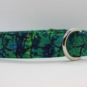 May include: A green and blue dog collar with a silver buckle. The collar has a pattern of overlapping circles.