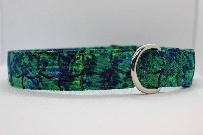 May include: A green and blue dog collar with a silver buckle. The collar has a pattern of overlapping circles.
