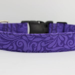 May include: Purple dog collar with a black buckle and a swirling pattern.