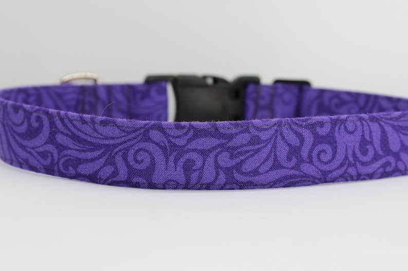May include: Purple dog collar with a black buckle and a swirling pattern.