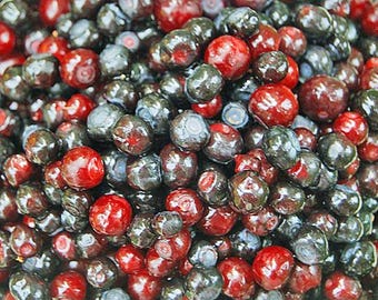 Vaccinium membranaceum | Thinleaf Huckleberry | 20 Seeds
