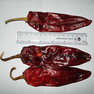 Capsicum annuum | Kashmiri Chilli | 100 Seeds