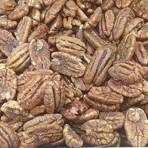 Carya illinoinensis | Hardy Pecan Tree | 10 Seeds