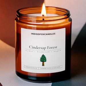Cindersap Forest Stardew Valley Duftkerze im Glas Sojawachs Handmade Holzdocht Geschenk Cozy Gaming Beste Freundin Geburtstag Wald Bäume