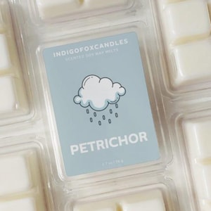 Petrichor Regen Duft Melt Sojawachs Teelicht Duftwachs Duftwürfel Wachswürfel Duftlampe Melts Natur Zen Meditation Geschenkidee Weihnachten