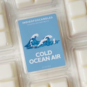 Ocean Air Wachsmelts Sojawachs Duftwachs Vegan Snap Bar Teelicht Duftlampe Raumduft Wachswürfel Aromatherapie Natur Meer Strandluft Urlaub