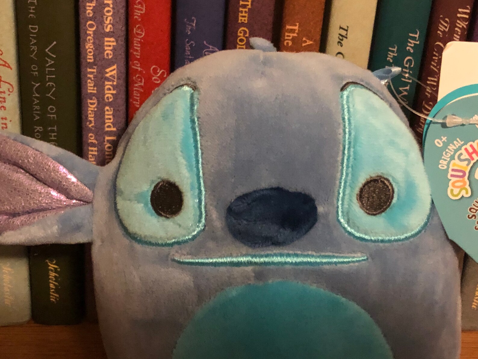 home goods squishmallows