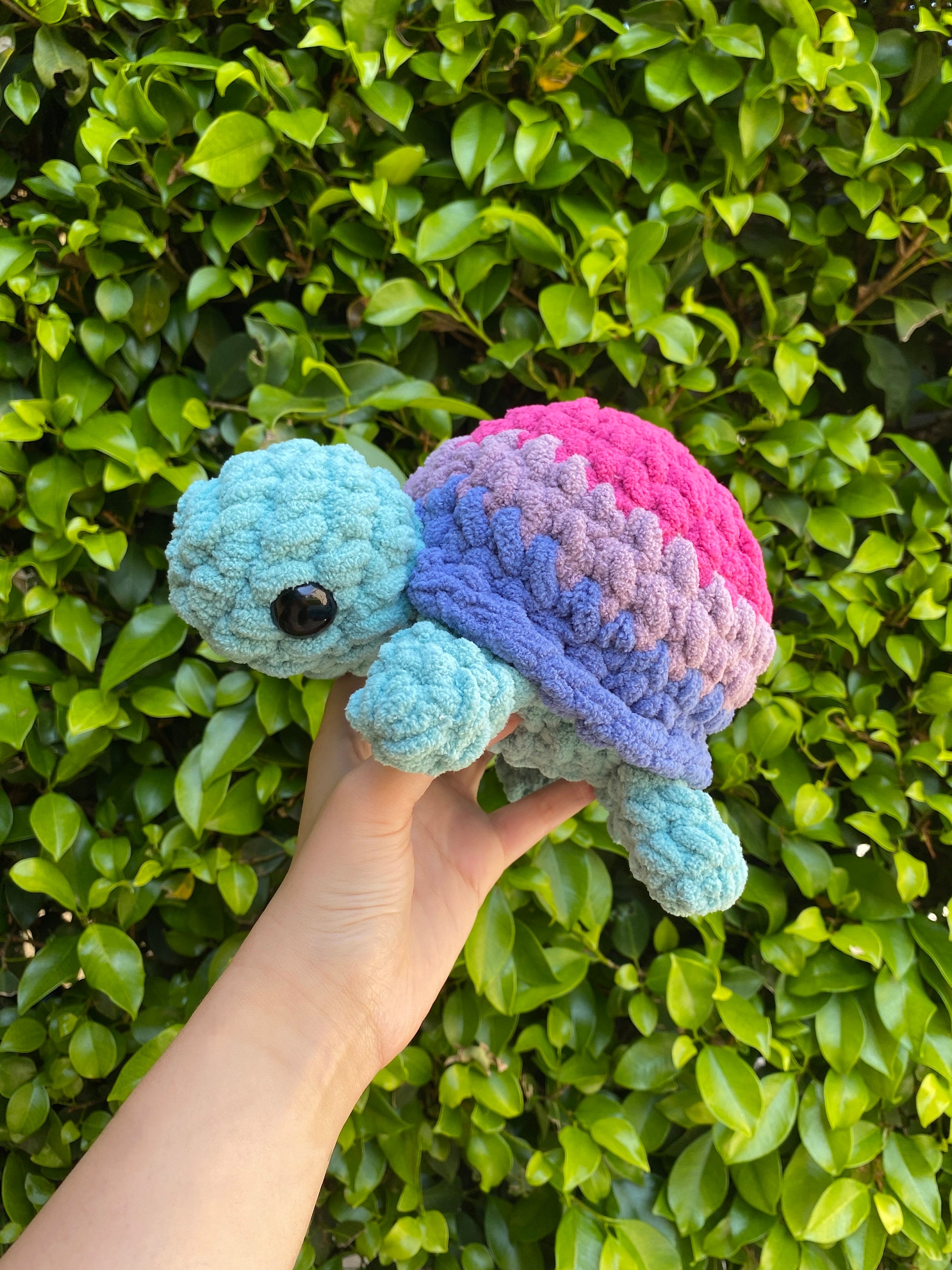 LGBTQ Pride Turtle