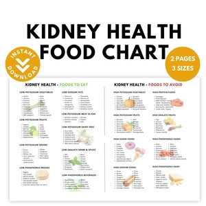 Niergezondheidstabel voor voeding | Voedingsposter | Gids voor niervriendelijk eten | Dieetlijst | Kaliumarm voedsel | spiekbriefje dieet | Afdrukbaar