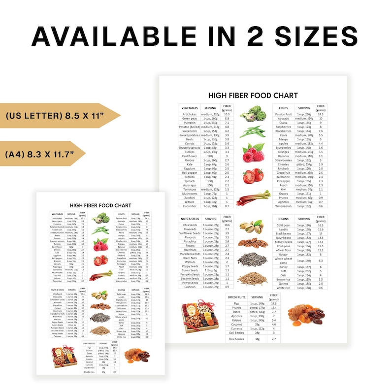 High Fiber Food Chart Nutrition Poster High Fiber Food Guide Gut Health