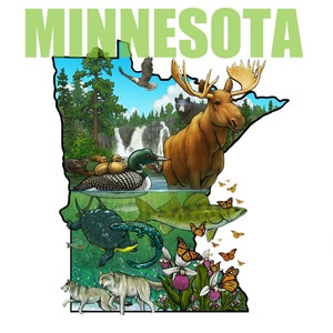 Mapa de la naturaleza ilustrado de Minnesota