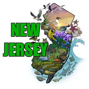 Mapa ilustrado de la naturaleza de Nueva Jersey