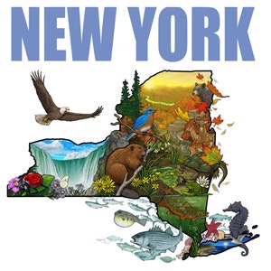 Mapa de la naturaleza ilustrado de Nueva York