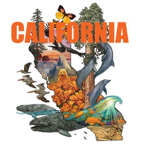 Carte d'illustration de la nature de la Californie
