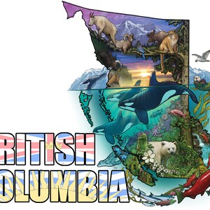 British Columbia Nature Illustration Karte