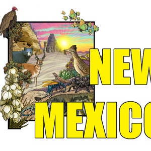Mapa de ilustração da natureza do Novo México