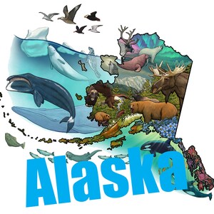 Carte d’illustration de la nature de l’Alaska