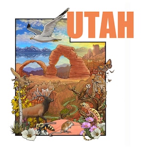 Mapa Natural Ilustrado de Utah