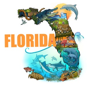Mapa de la naturaleza ilustrado de Florida