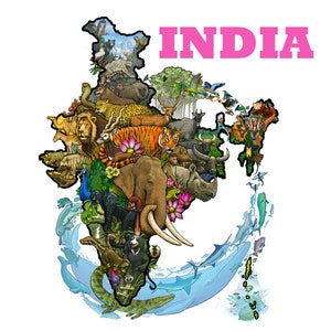 Carte naturelle illustrée de l'Inde