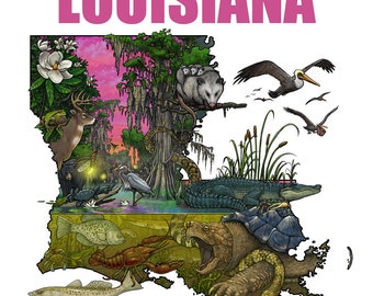 May include: A colorful illustration of the state of Louisiana, featuring local wildlife and flora. The word "LOUISIANA" is displayed in pink at the top. The image includes a deer, alligator, pelicans, fish, and a possum.