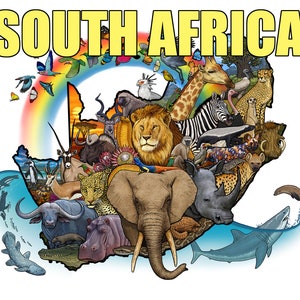 Südafrika Natur Illustration Karte