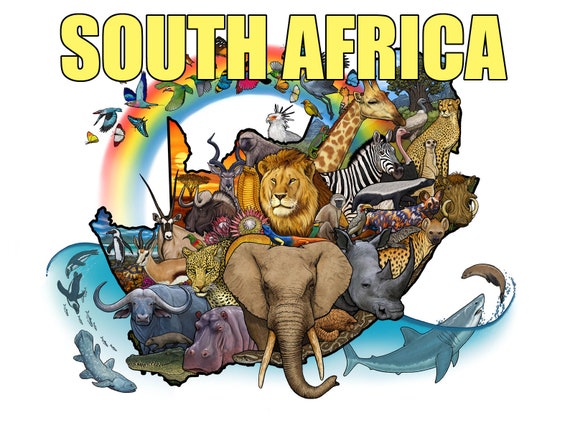 South Africa Nature Illustration Map | Etsy