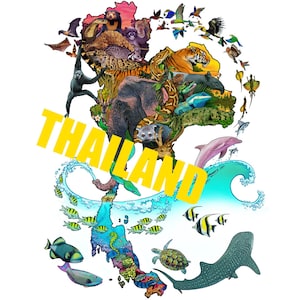 Thailand Natur Illustration Karte