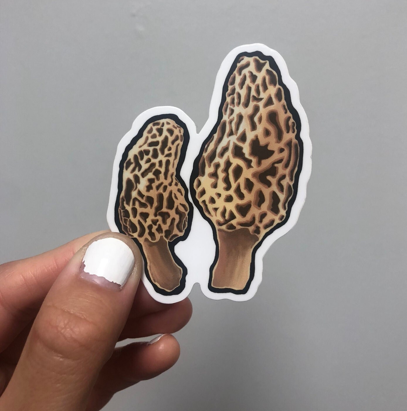 Morel Mushroom Sticker Etsy