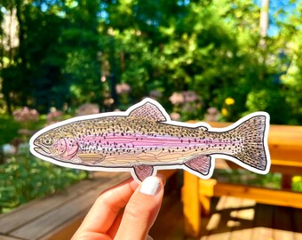 Rainbow Trout Sticker