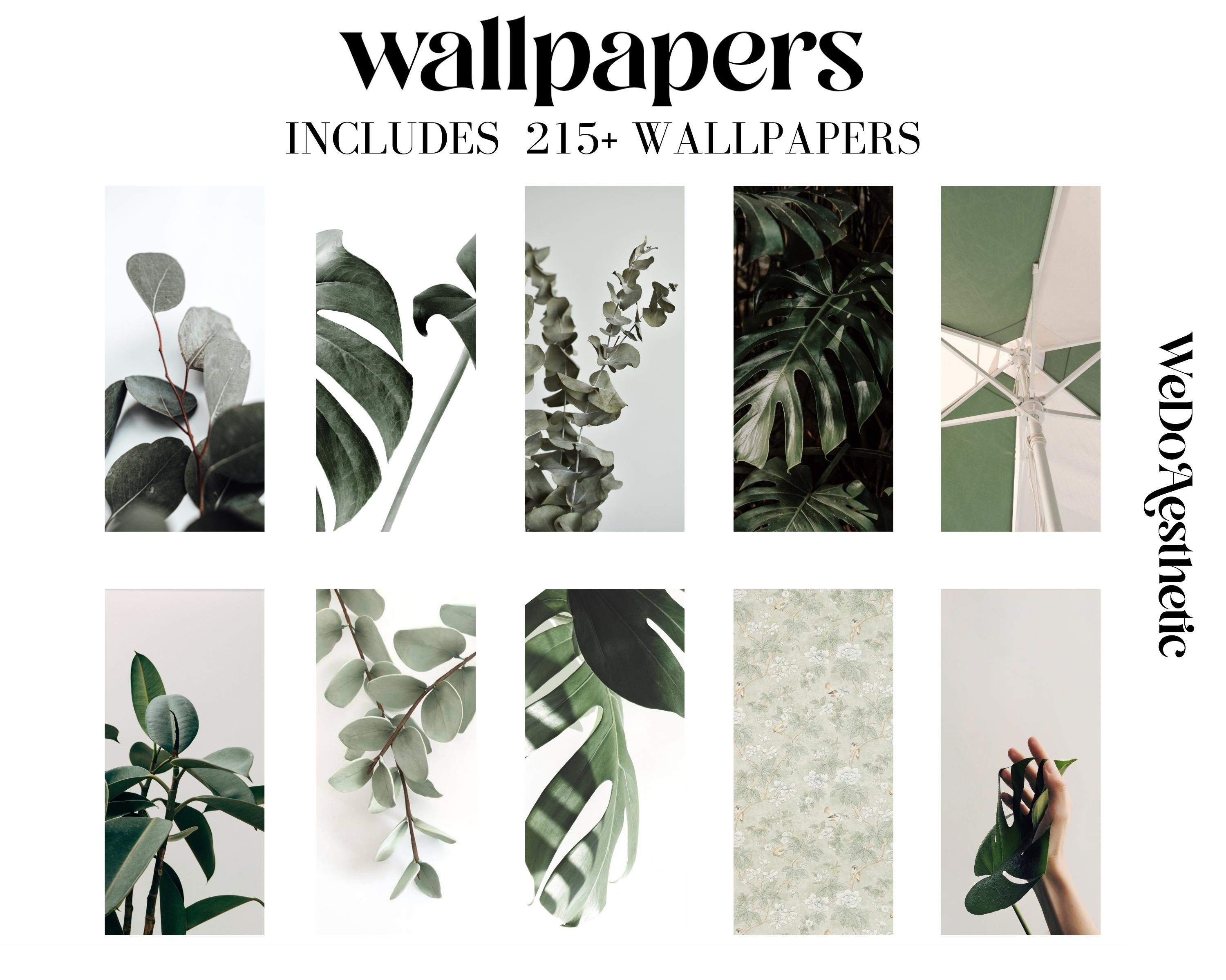 10 000 Eucalyptus App Icons Pack Green Aesthetic App Icons Etsy India