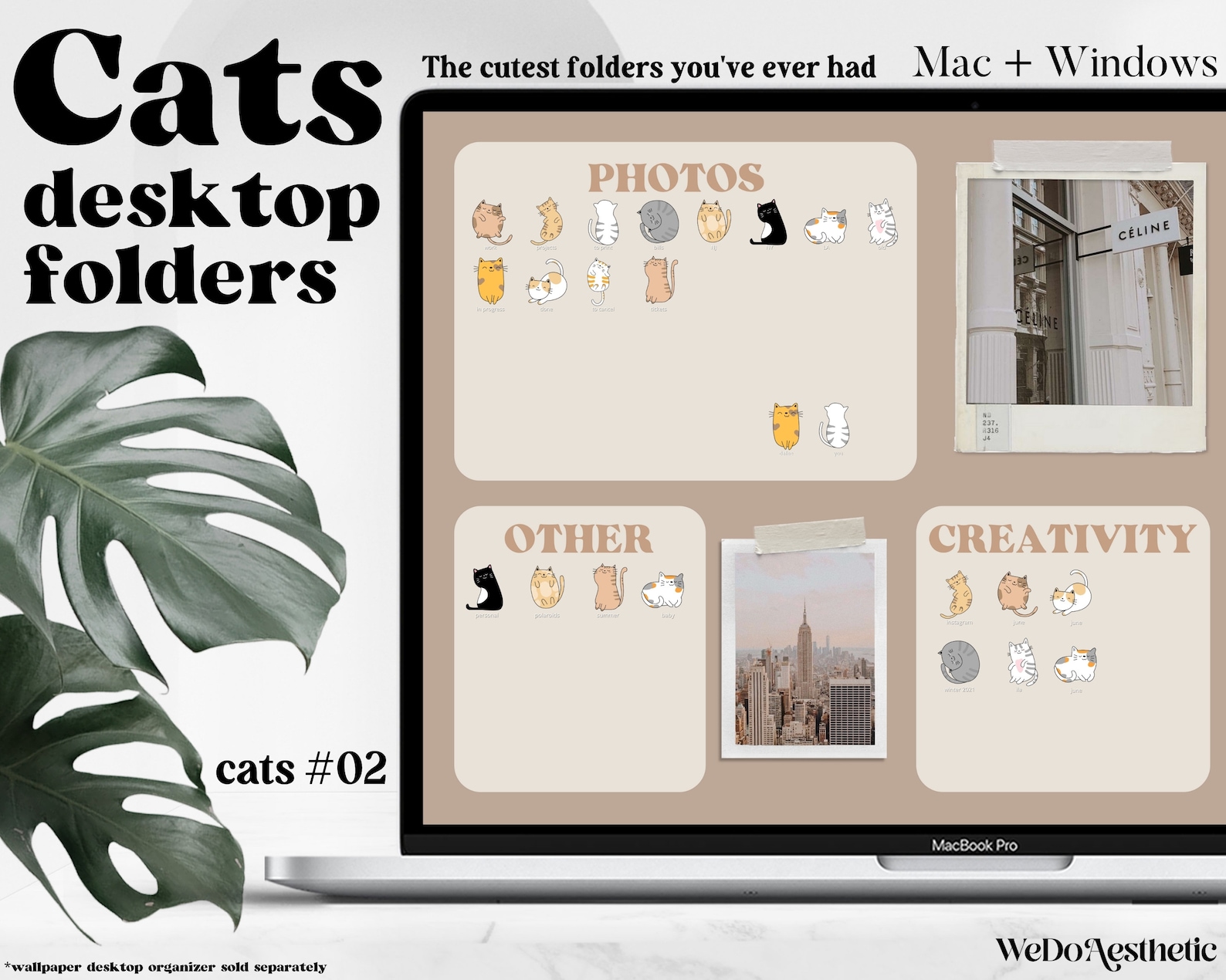 CATS #02 Desktop Folder Icons, Mac + Windows Folder Icons, Mac Natural ...