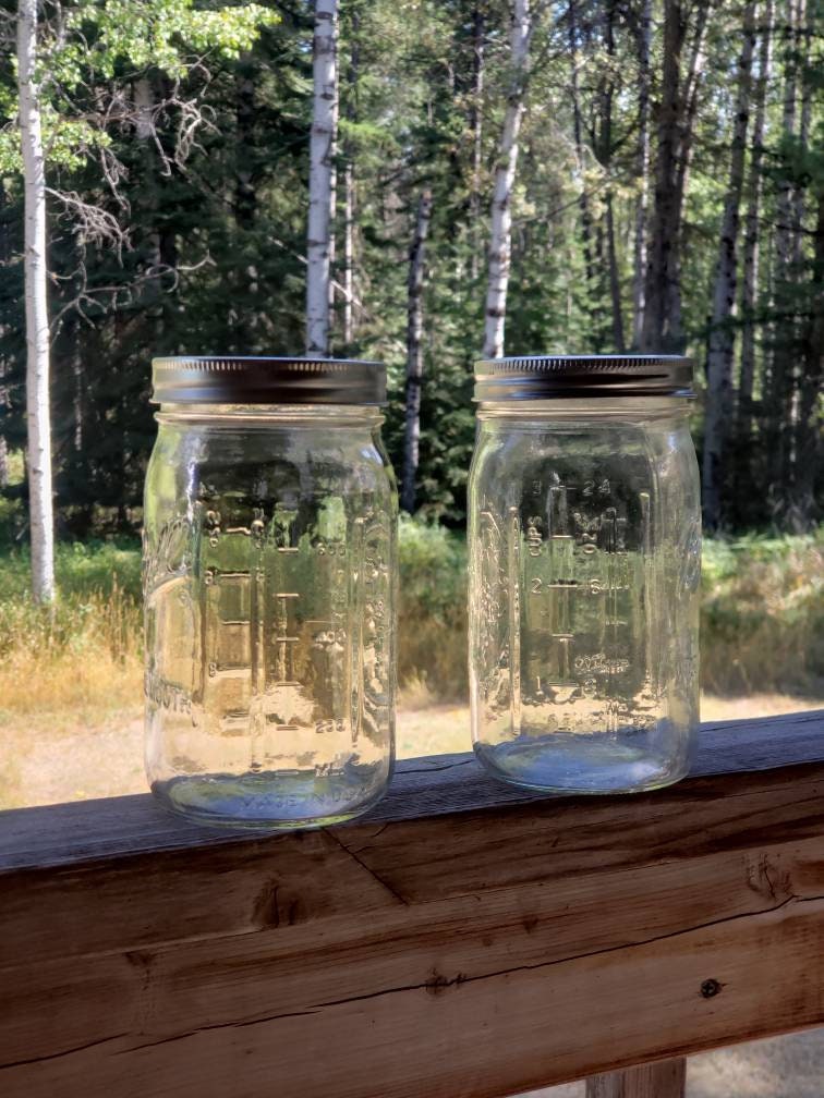 Mini (3-1/4 tall) Golden Harvest Mason Jars (2) with Handles - household  items - by owner - housewares sale 