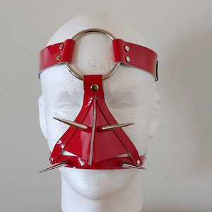 Beak face harness