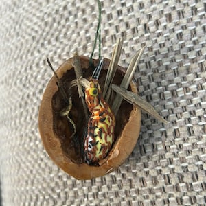 May include: A handmade ornament with a small, colourful bird figurine inside a walnut shell. The bird has a yellow, orange, and brown pattern. Dried grass and a green string are also included.