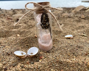 The Love Bottle (self love/attracting love)