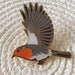 see more listings in the Oiseaux section