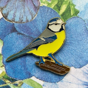 Blaumeise Blue Tit Bild 1