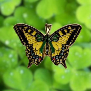 Pin Schmetterling Schwalbenschwanz Bild 8