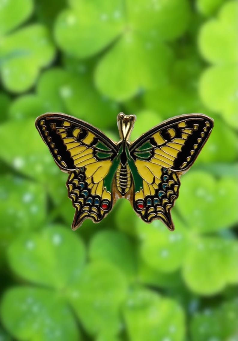 Pin Schmetterling Schwalbenschwanz Bild 8