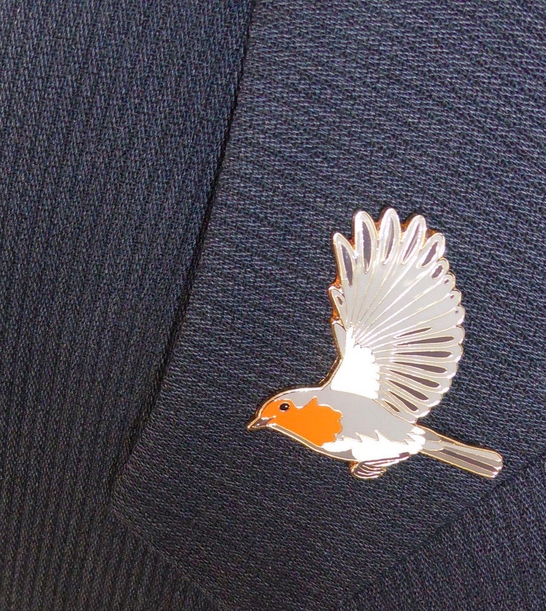 Pin Rotkehlchen im Flug Robin in flight Bild 5