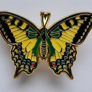 Pin Schmetterling Schwalbenschwanz Bild 6