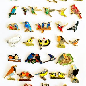 Special Offer: All our 34 bird pins for 140 Euro!