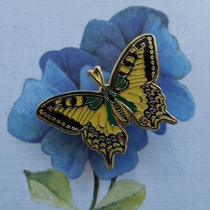 Pin Schmetterling Schwalbenschwanz Bild 5