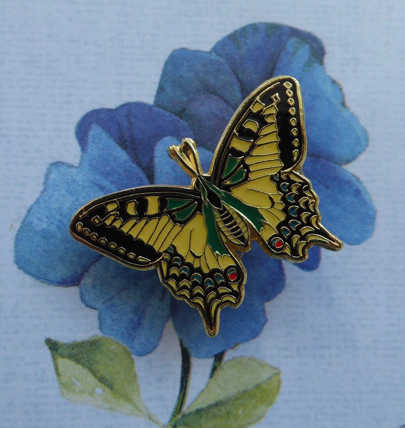 Pin Schmetterling Schwalbenschwanz Bild 5