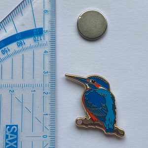 Pin Eisvogel Pin Kingfisher Bild 2