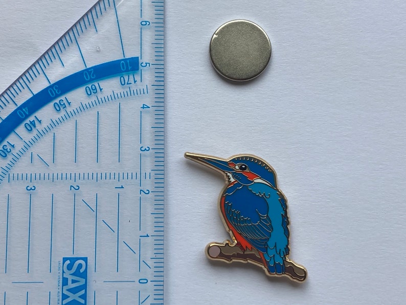 Pin Eisvogel Pin Kingfisher Bild 2